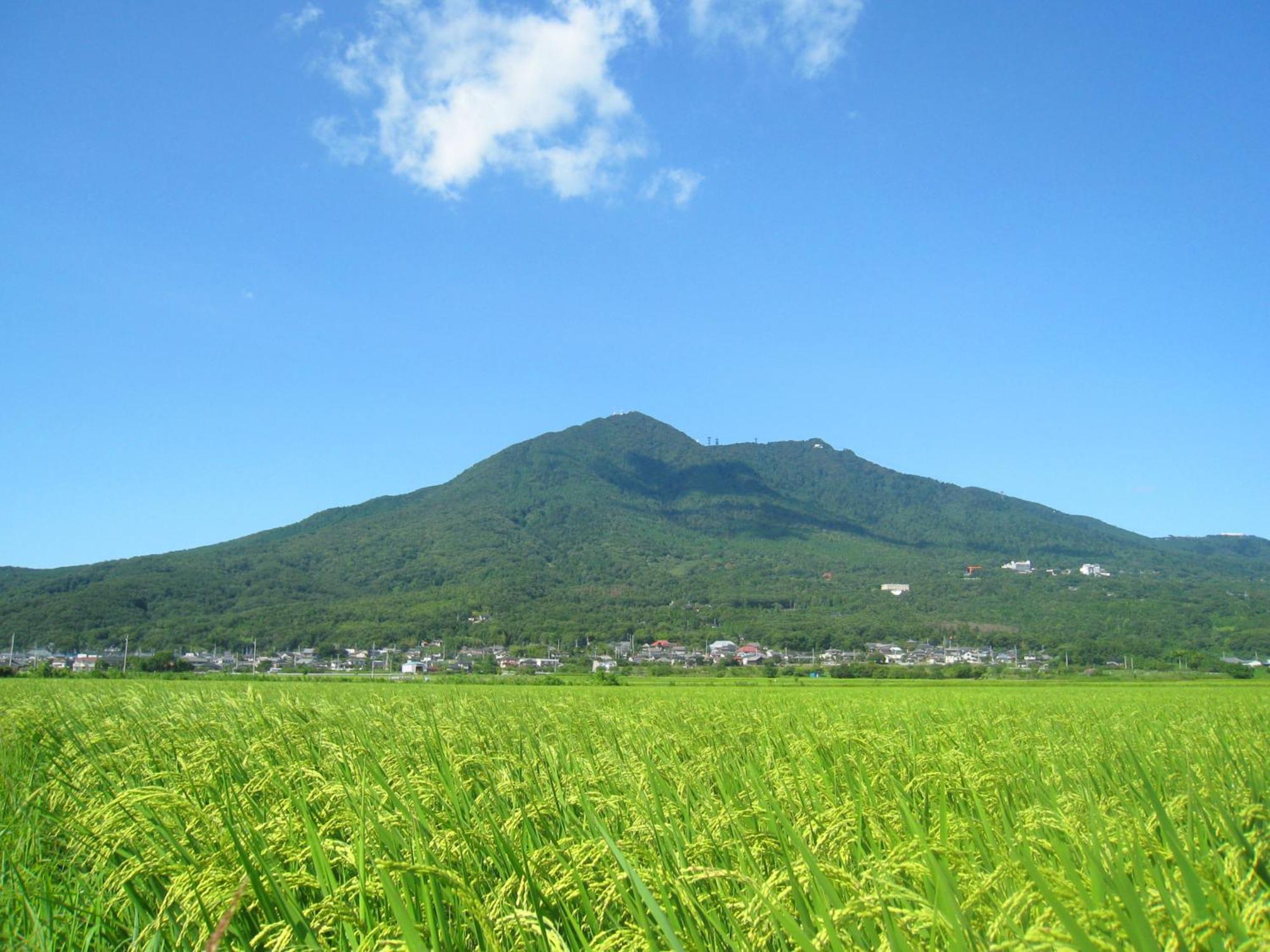 HOTEL JAL City Tsukuba Bagian luar foto